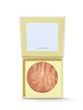 Бронзер для лица Tarte Sun & Fun Baked Bronzer, 7 г
